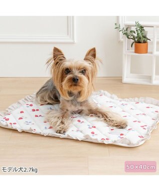 PET PARADISE ペットパラダイス クールマット 《苺花柄》 Ｓ ホワイト×レッド