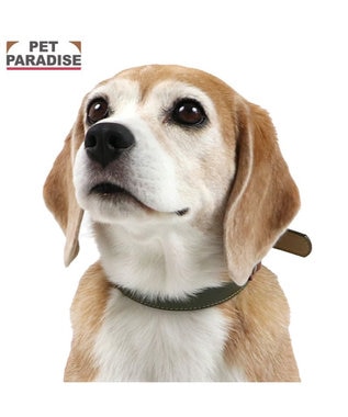 PET PARADISE ペットパラダイス 合皮 首輪 《カーキ》 中型犬 SM カーキ