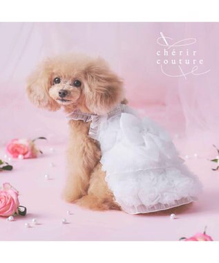PET PARADISE cherircouture メニ―ローズ ワンピース ホワイト 小型犬 ホワイト