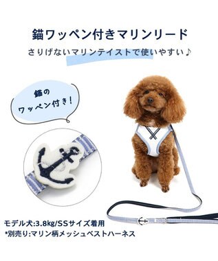PET PARADISE 犬 リード 【4S~3S】 小花柄 マリン マリン
