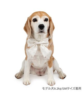 PET PARADISE ペットパラダイス 花柄りぼん 首輪 ＳＭ 中型犬 オフホワイト