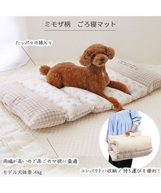 PET PARADISE ペットパラダイス ごろ寝マット 《ミモザ柄》 小型犬 ミモザ