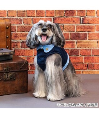 PET PARADISE ペットパラダイス 襟付きベストハーネス ３Ｓ ネイビー×ブルー