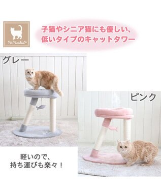 猫 キャットタワー 55cm スリム / PET PARADISE | 【通販】雑貨と 