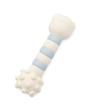 PET PARADISE ペットパラダイス くまちゃん ラテックス トイ 《ホワイト》 ホワイト