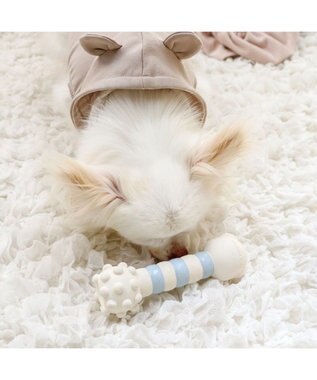 PET PARADISE ペットパラダイス くまちゃん ラテックス トイ 《ホワイト》 ホワイト