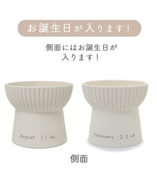 PET PARADISE 【受注生産】 猫 食器 フードボウル 陶器 オーダーメイドフードボウル ねこちゃん