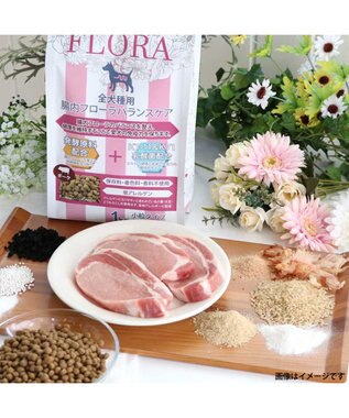 PET PARADISE ペットパラダイス  国産 ドッグフード フローラ3kg -