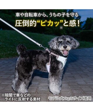 PET PARADISE ペットパラダイス 超反射 切り替え ハーネス＆リード ３Ｓ 《ブルーグリーン》 ブルーグリーン