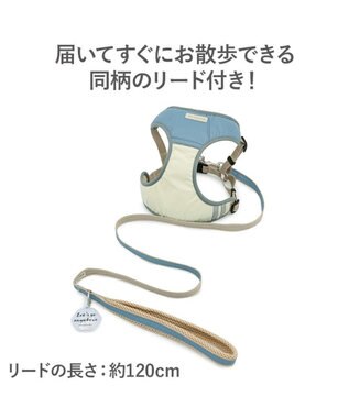 PET PARADISE ペットパラダイス 超反射 切り替え ハーネス＆リード ３Ｓ 《ブルーグリーン》 ブルーグリーン