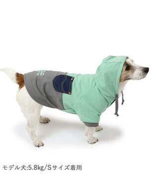 PET PARADISE Lee バイカラー フード付きパーカー 《グリーン》 小型犬 グリーン