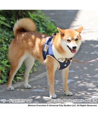 PET PARADISE ミニオン ティム ベストハーネス デニム ＳＭ 中型犬 デニム