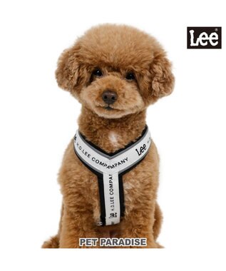  Lee ロゴ アクティブ ハーネス ３Ｓ 小型犬