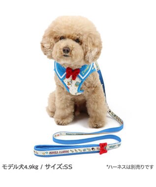 PET PARADISE ディズニー ドナルドダック 90周年 反射 リード ３Ｓ 《パーティー柄》 超小型犬 パーティー柄