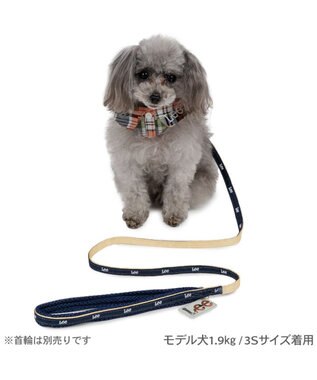 PET PARADISE Lee リード 《ロゴベージュ》 ＳＳ～Ｓ 小型犬 ベージュ