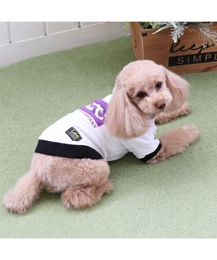 PET PARADISE Lee 四角 ロゴトレーナー 小型犬 ホワイト
