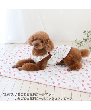 PET PARADISE ペットパラダイス エコメイド キャミソール 《苺柄》 小型犬 苺柄