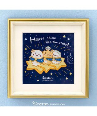 Mother garden しろたん 星空アートフレ―ム