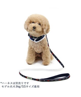 PET PARADISE J.PRESS トリコロール リード 小型犬 ＳＳ~Ｓ -