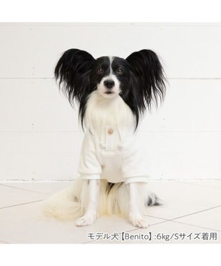 PET PARADISE ペットパラダイス Mai Kuraki ベニート パーカー 《ホワイト》 小型犬 ホワイト