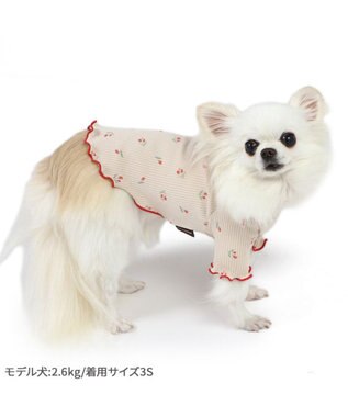 PET PARADISE ペットパラダイス お花のびのび リブ Tシャツ  小型犬 お花