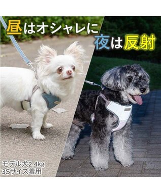 PET PARADISE ペットパラダイス 超反射 切り替え ハーネス＆リード Ｓ 《ブルーグリーン》 ブルーグリーン