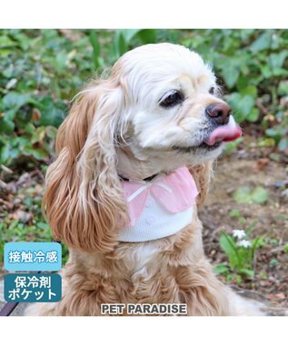 PET PARADISE クールネック バンダナ《 ボタニカル/ しろくま/シフォン襟》 保冷剤付き 【中型犬】【大型犬】