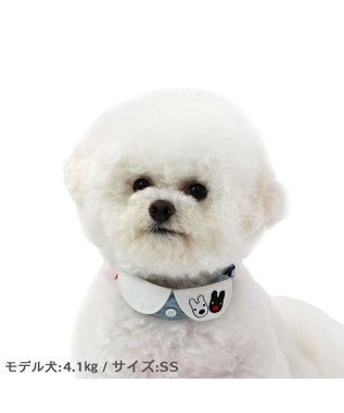 PET PARADISE リサとガスパール  襟付き首輪  《であい柄》ＳＳ 小型犬 -