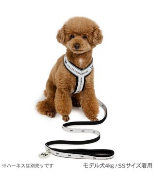 PET PARADISE Lee ロゴチャーム付き リード ＳＳ～Ｓ 小型犬 ホワイト×ブラック