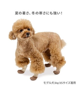 PET PARADISE ペットパラダイス フリル フィット靴 ３Ｓ ベージュ×ブラウン