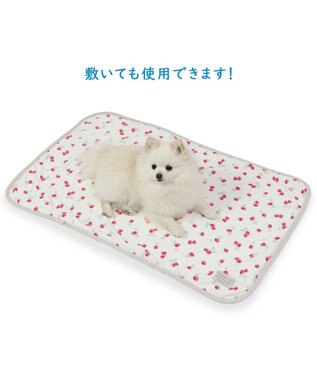 PET PARADISE ペットパラダイス クールブランケット 単品 (90×60cm)  《 苺柄 / ネイティブ柄 》 苺柄