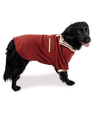 PET PARADISE ペットパラダイス プレミアム ぺティヒート スキッパーTシャツ 中型犬 大型犬 レッド