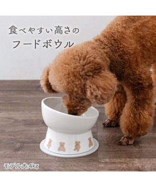 PET PARADISE ペットパラダイス 高さのある フードボウル 《テディ柄》 小型犬 オフホワイト