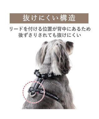 PET PARADISE Lee ロゴアクティブ ハーネス ３Ｓ ブラック