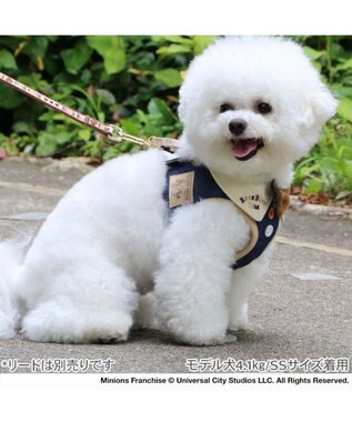 PET PARADISE ミニオン ティム ベストハーネス デニム ３Ｓ 小型犬 デニム