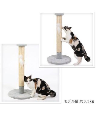 PET PARADISE 猫 つめとぎ タワー 66cm グレー
