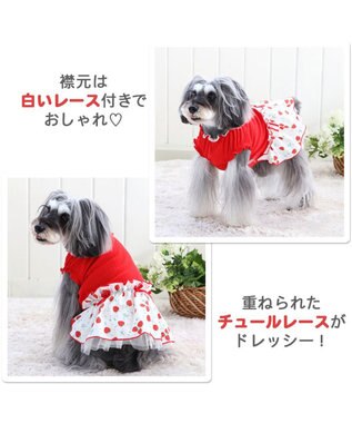 犬 服 夏服 ワンピース 〔小型犬〕 苺 赤 ペットウエア ペットウェア ドッグウエア ドッグウェア ベビー 超小型犬 小型犬, 赤, ４Ｓ