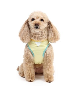 PET PARADISE スヌーピー エコメイド タンクトップ 《パフェ柄》 小型犬 パフェ柄