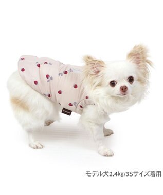 ペットパラダイス 遠赤外線 背中開き 綿入りベスト 《いちご