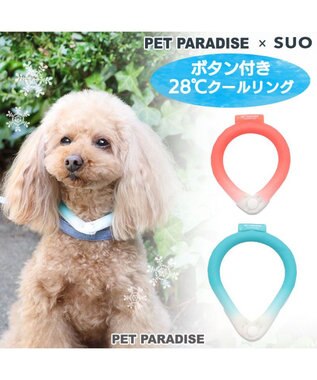 犬 ひんやり 28 ss 小型犬 ネッククーラー 繰り返し 何度も使える ネック クール 冷感 お散歩 アイシング 首もと冷却 暑さ対策 熱中症対策 夏 ひんやり バンダナ 首掛け 涼感 冷却 ひえひえ ボタン付き ブルー ピンク Pet Paradise 通販 雑貨とペット用品の 犬 ひんやり 28 ss 小型犬 ネッククーラー 繰り返し 何度も使える ネック クール 冷感 お散歩 アイシング 首もと冷却 暑さ対策 熱中症対策 夏 ひんやり バンダナ 首掛け 涼感 冷却 ひえひえ ボタン付き ブルー ピンク Pet Paradise 通販 雑貨とペット用品の