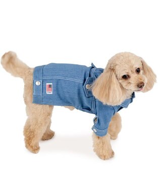 PET PARADISE J.PRESS デニムジャケット 春 小型犬 ライトインディゴブルー