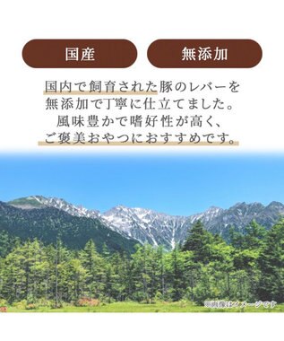 PET PARADISE プレミアム 国産 豚レバージャーキー 40g 0