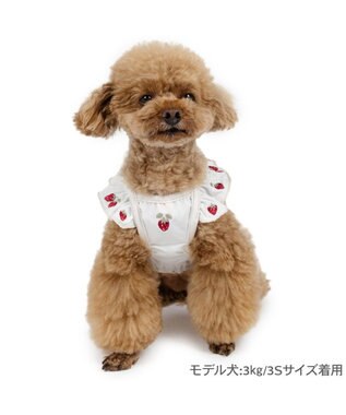 PET PARADISE ペットパラダイス エコメッシュ ワンピース 《苺刺繍》 小型犬 ホワイト×ピンク