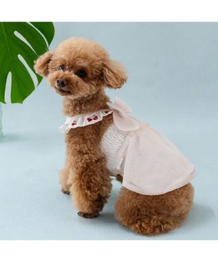PET PARADISE ペットパラダイス エコメッシュ ワンピース 《苺刺繍》 小型犬 ホワイト×ピンク