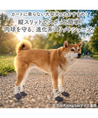 PET PARADISE ペットパラダイス バレエ スリット シューズ  Ｍ -