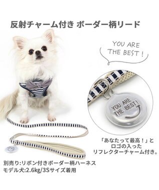 PET PARADISE 犬 リード 【４Ｓ~３Ｓ】 ボーダー 紺（ネイビー・インディゴ）