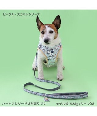 PET PARADISE スヌーピー リード 《ビーグルスカウト》 ＳＳ~Ｓ 小型犬 ビーグルスカウト