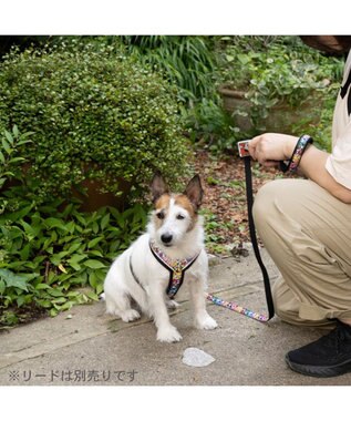 PET PARADISE スヌーピー 75周年 アクティブ ハーネス 小型犬 SS 75周年柄