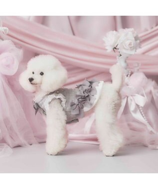 PET PARADISE cherircouture ヘムリボンツイードベスト 《グレー》 小型犬 グレー