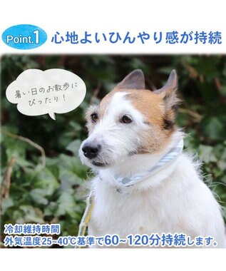 PET PARADISE クールリング 犬 クールネック ひんやり 28℃クールリング 【Ｓ】 リフレクター 水色 ベージュ  反射材付き 水色 Ｓ